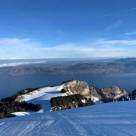 Les Alpages Vue Panoramique Sur Le Leman