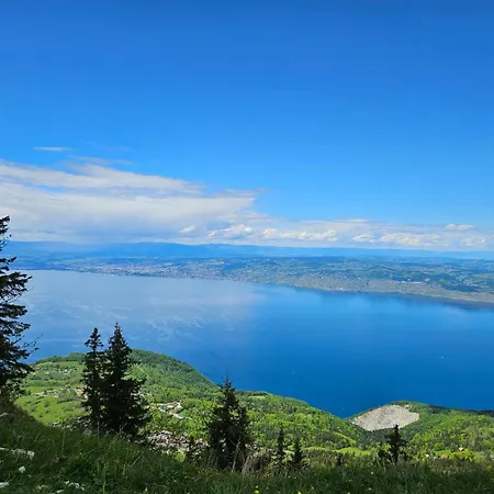 Les Alpages Vue Panoramique Sur Le Leman Horská chata